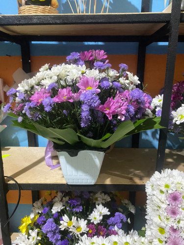 Toko Bunga Terbesar King Florist rumahdukapalangkaraya – Pilihan Utama Florist Profesional di Kalima