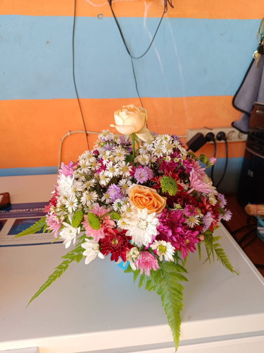 Bunga Meja rumahdukapalangkaraya